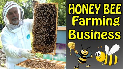 Starting A Bee Farm Business